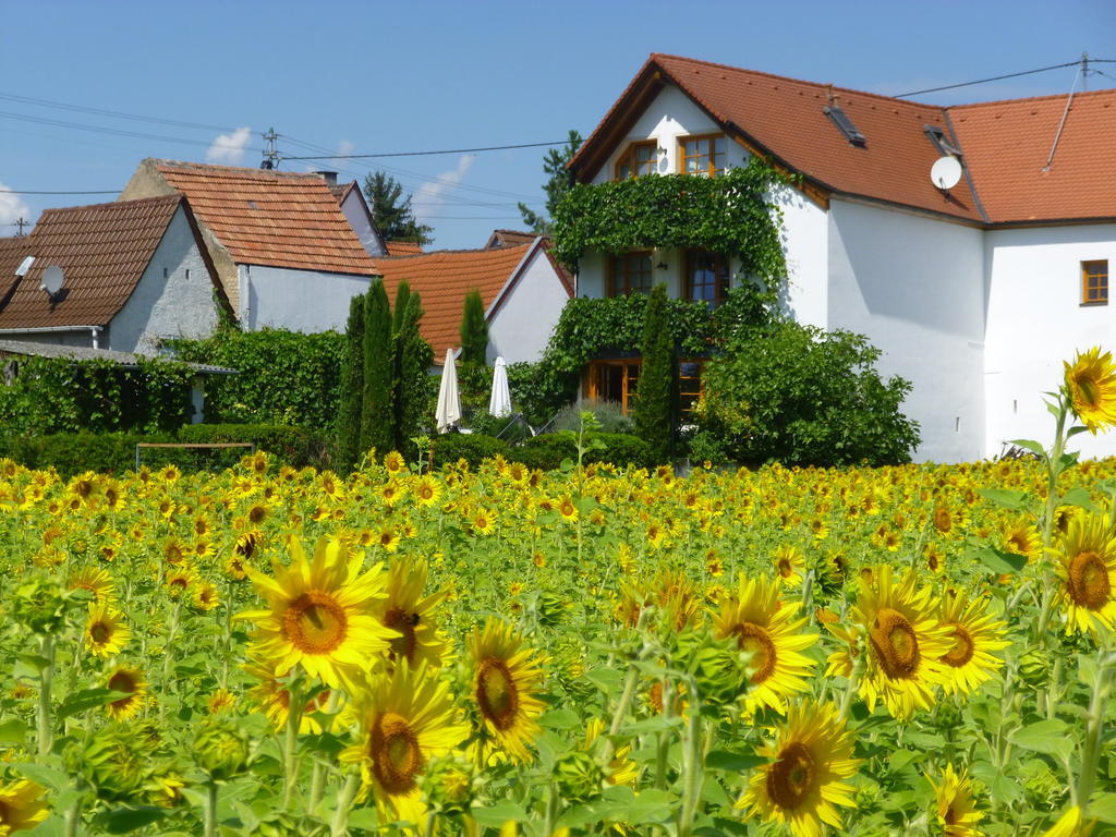 Landhotel Kallstadt Luaran gambar